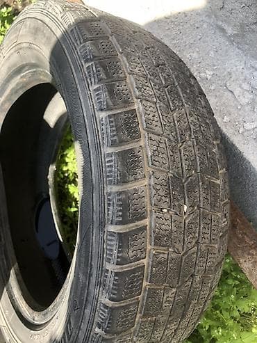 diska 13: Шины 175 / 65 / R 14, Зима, Dunlop — 2