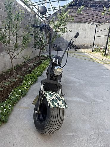 ом: Электроскутер Citycoco (чоппер-стиль) - Форм‑фактор чоппера с высокой — 4