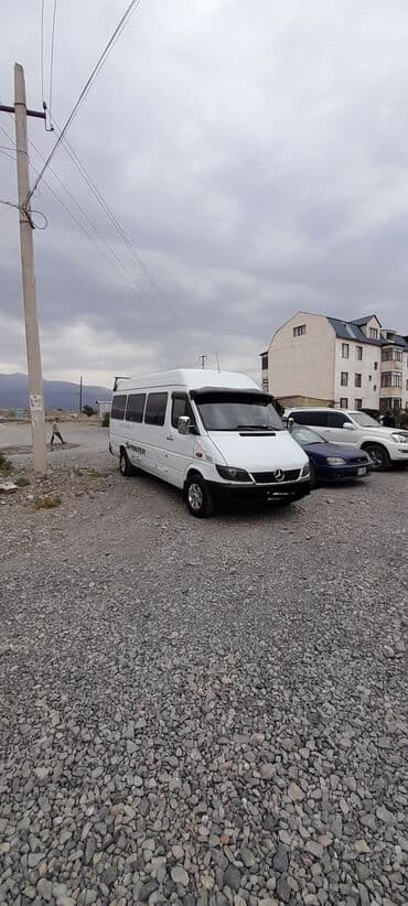 sprinter 4wd: Mercedes-Benz Спринтер: 2003 г., 2.9 л, Механика, Дизель, Бус — 3