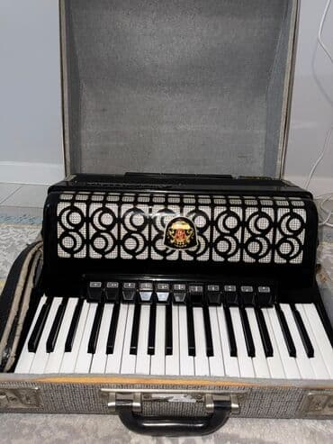 детский велосипед orbea: Рояльстандарт сильвина размер 7/8 абалы жакшы таза. Вельтмейстер — 3