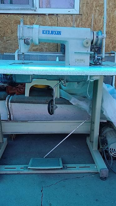 отдам даром животных бишкек: Отдам даром — 2