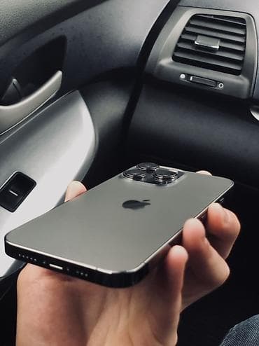 IPhone 13 Pro, 256 ГБ, Графит, Зарядное устройство, Защитное стекло, Чехол, 76 %