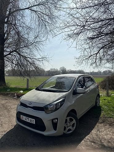 бампер windom: Kia Morning: 2019 г., Газ, Хэтчбэк — 2