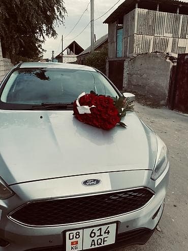 daewoo lanos2: Ford Focus: 2018 г., 2 л, Автомат, Бензин, Хэтчбэк — 1