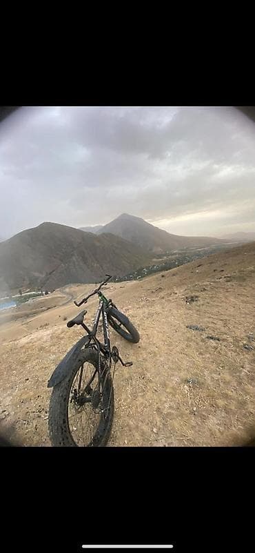 CD, DVD диски: Горный велосипед, Сталь — 6