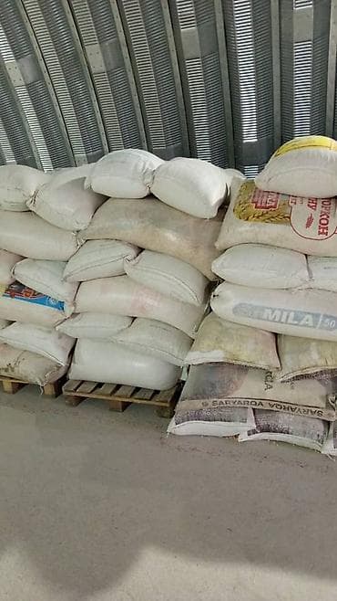 купить пшеницу: Продаю кукурузу оптом и в розницу росыпю 25 в мешках 26 сом со — 4