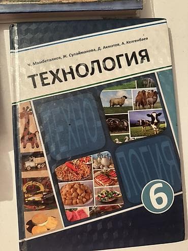 solutions elementary: Русский язык, 4 класс — 2