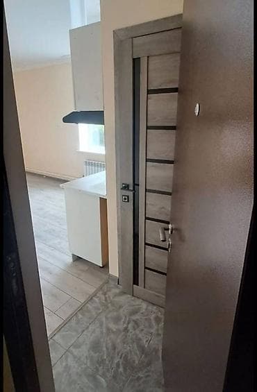 Батирлерди сатуу: 1 бөлмө, Кыймылсыз мүлк агенттиги, Чогуу жашоосу жок, Жарым -жартылай эмереги бар — 3