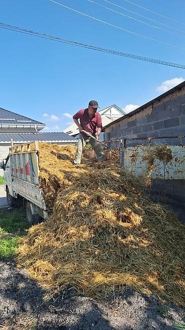 навоз портер: Заказать Хендай портер, Перевозка мебели, C грузчиком — 2