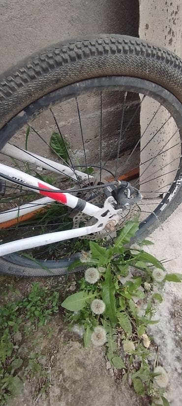 воздушные вилки: Горный велосипед, Рама M (156 - 178 см), Сталь — 2