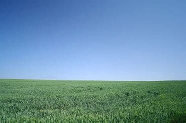 земли сельскохозяйственного назначения кр: Продаётся земельный участок сельскохозяйственного назначения — 1