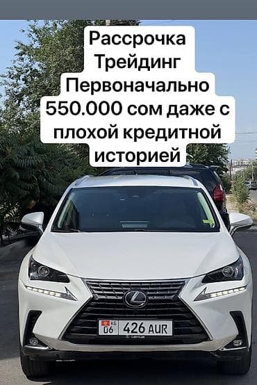 m111 2 2: Lexus NX: 2019 г., 2 л, Автомат, Бензин, Кроссовер — 1
