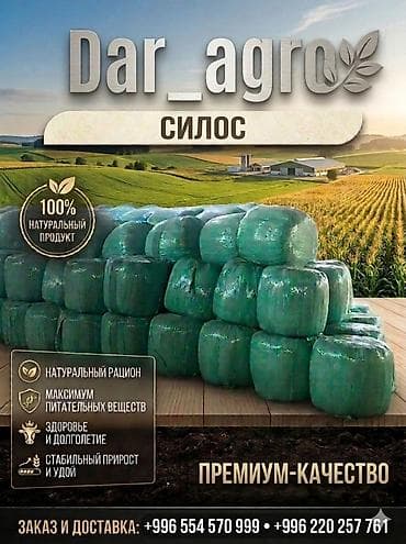 С/х животные и товары: Силос в бабинах 7сом 1кг в любом количестве обращайтесь — 1