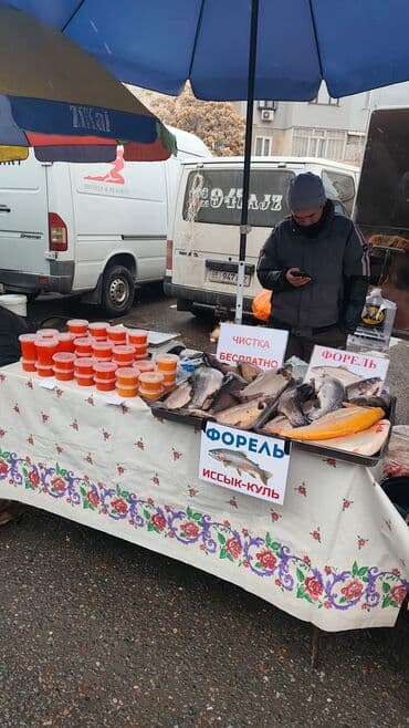 мака перуанская: Охлажденный — 5