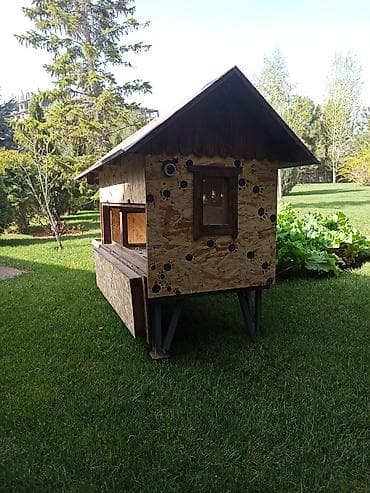 пчело ящики: Продаю | Куры | Несушки — 6