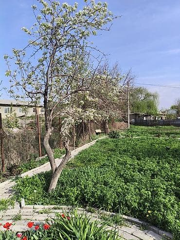 Недвижимость: Продаю дом 145 М2 Участок 13,5 сот Торг на месте По всем интересующим — 4