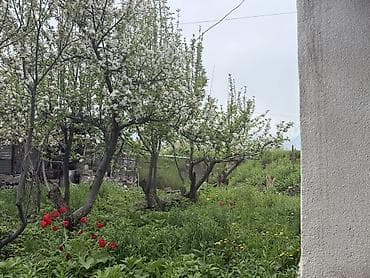 территория: 8 соток, Для бизнеса — 7