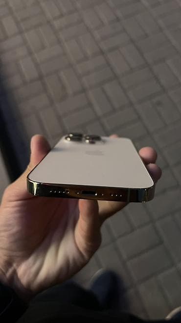 iphone 10 x: IPhone 14 Pro, 256 ГБ, Серебристый, 88 % — 2