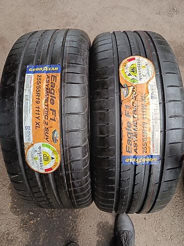 r19: Шины 255 / 55 / R 19, Лето, Внедорожные (АТ/МТ), GoodYear — 1