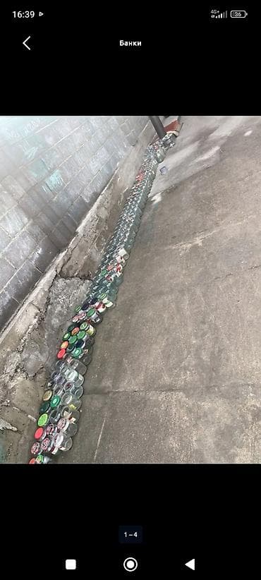 грибы оптом: Банки, Б/у, Самовывоз — 4