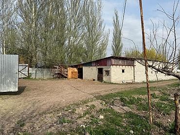 бассен: Ферма КРС, 240 соток, Действующий, Электричество — 2