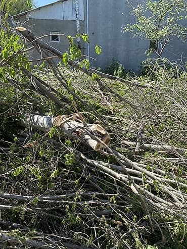 срез: Дрова — 3