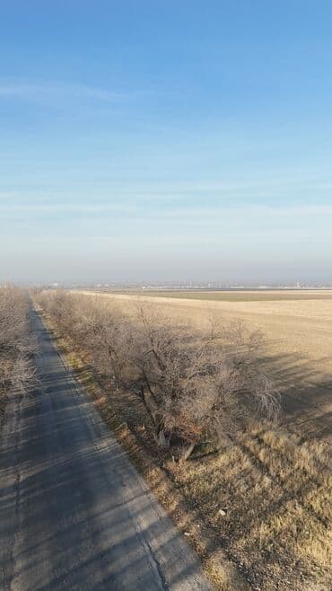 купить домик для кукол: 5 соток, Красная книга, Тех паспорт, Договор купли-продажи — 12