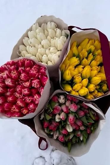 оптовые цены на продукты бишкек: Тюльпаны оптом, отправка в регионы для уточнения пишите на вотсап — 3