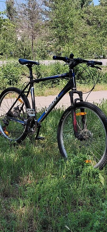 giant revolt: Горный велосипед, Giant, Рама XL (180 - 195 см), Алюминий, Б/у — 2