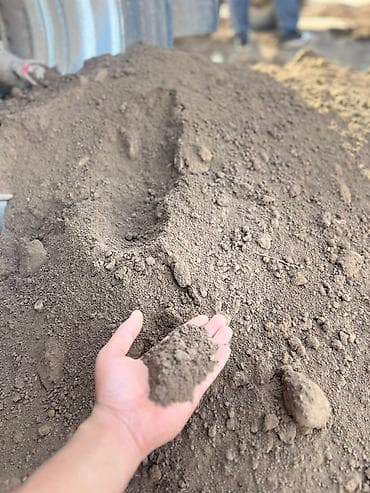 толстого: В тоннах, Платная доставка, Портер — 4