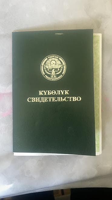 земельные участки: 260 соток, Для сельского хозяйства — 4