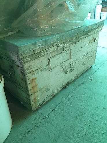 Ветеринар кызматы: Продаю улья б/у лежаки цена 1000 сом за 1 шт. в наличии 9 штук — 2