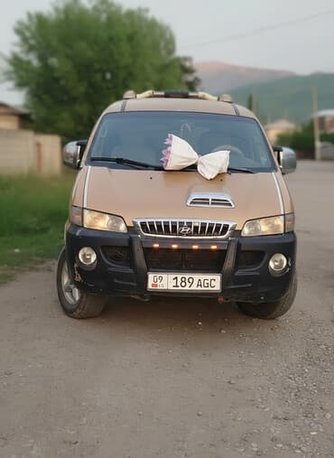 Hyundai Starex: 2003 г., 2.5 л, Механика, Дизель, Минивэн