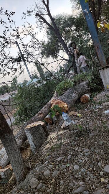дом под ключ бишкек цена: Бак кыябыз бардык турлорун абреска кылабыз отун кылып даярдайбыз? — 5