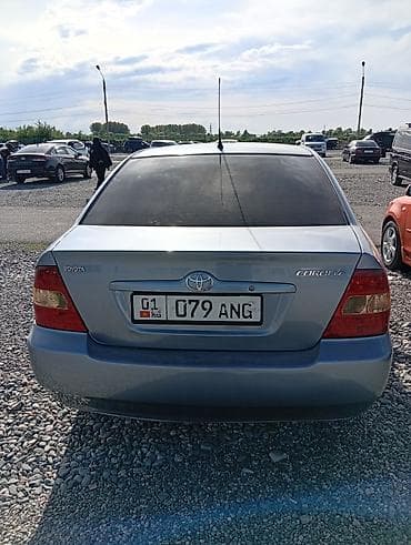 Toyota Corolla: 2003 г., 1.6 л, Автомат, Бензин, Седан