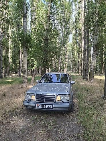 Mercedes-Benz W124: 1994 г., 3.2 л, Автомат, Газ, Седан