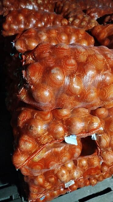 ящик для малины: Лук — 1