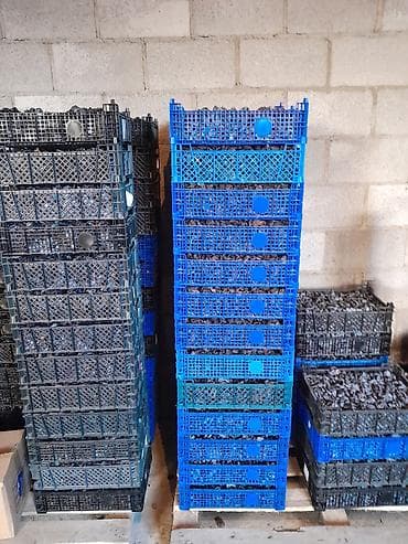 зеленый абрикос: Чернослив (вяленая слива) без добавок. - Натуральная сушка: ягоды — 3