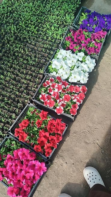 корзины свадебные: Самовывоз, Бесплатная доставка, Платная доставка — 3