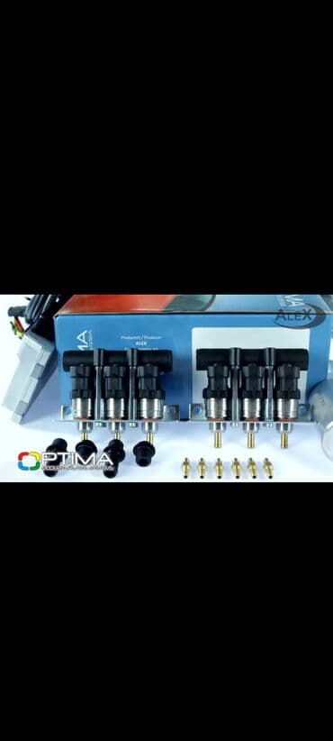 авто компьютер: ГБО — 10