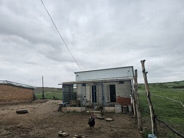 купить дом в деревне лнр недорого: Дача, 30000 кв. м, 2 бөлмө, Менчик ээси — 1