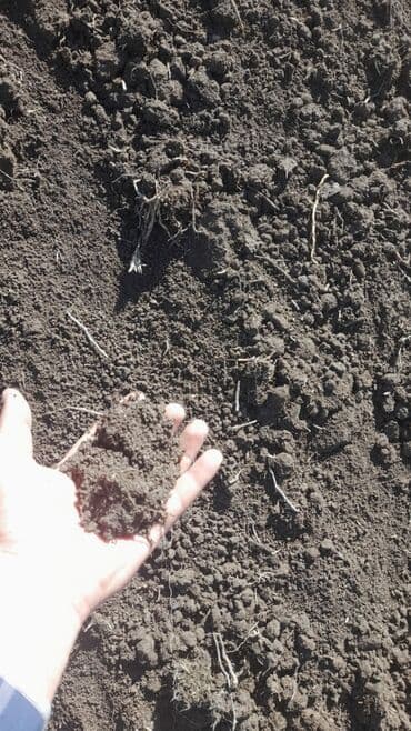 В тоннах, Бесплатная доставка, Зил