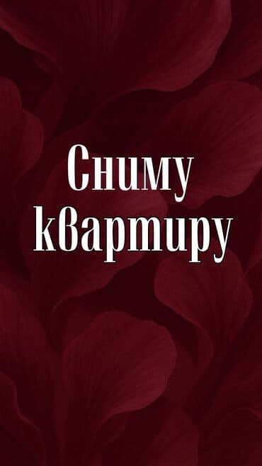 Сниму квартиру. Не на долгий срок минимум на месяц!( конец февраля)