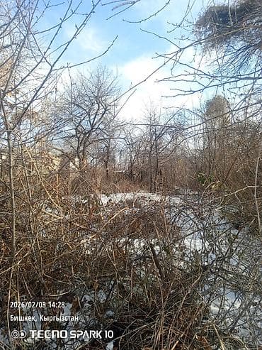 село учкун: 10 соток, Бизнес үчүн, Кызыл китеп — 4