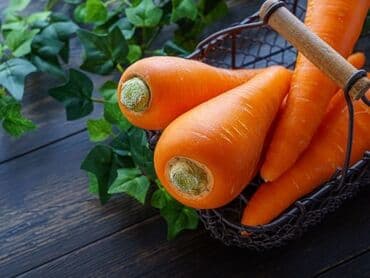 Морковь Оптом, Платная доставка