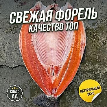 Свежая форель - Натуральный вкус, красное филе с выраженной at lalafo.kg Свежая форель - Натуральный вкус, красное филе с выраженной