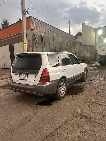 форестер: Subaru Forester: 2003 г., 2 л, Автомат, Бензин, Универсал — 2