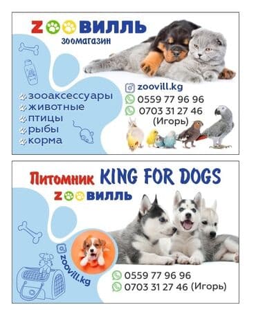 печать на ватмане: Лазердик басып чыгаруу, Чачма басып чыгаруу, | Визиткалар, Чаптамалар, Брендбуктар — 4