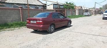 lada 2105: Nissan Almera: 1999 г., 1.6 л, Автомат, Бензин, Седан — 3