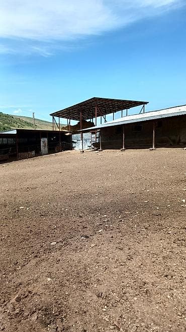 беловодское продажа квартир: 100 соток, Красная книга — 3